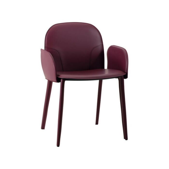airnova Jabot P Sessel mit lederbezogenem Metallgestell